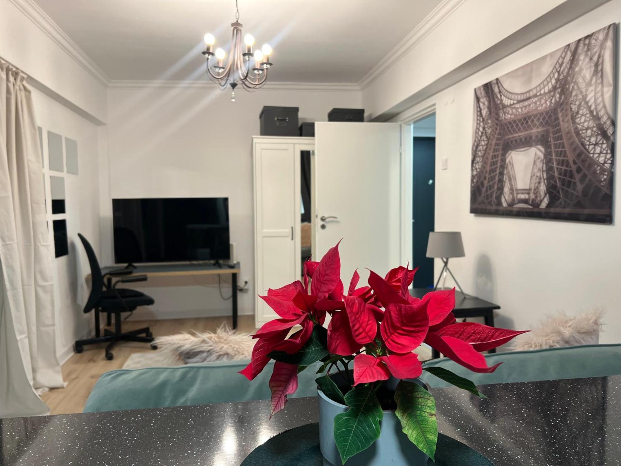 Cosy Studio Floreasca Бухарест Экстерьер фото